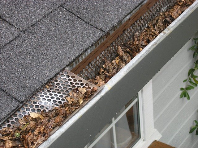 leaves on the gutter