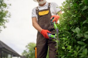 gardener